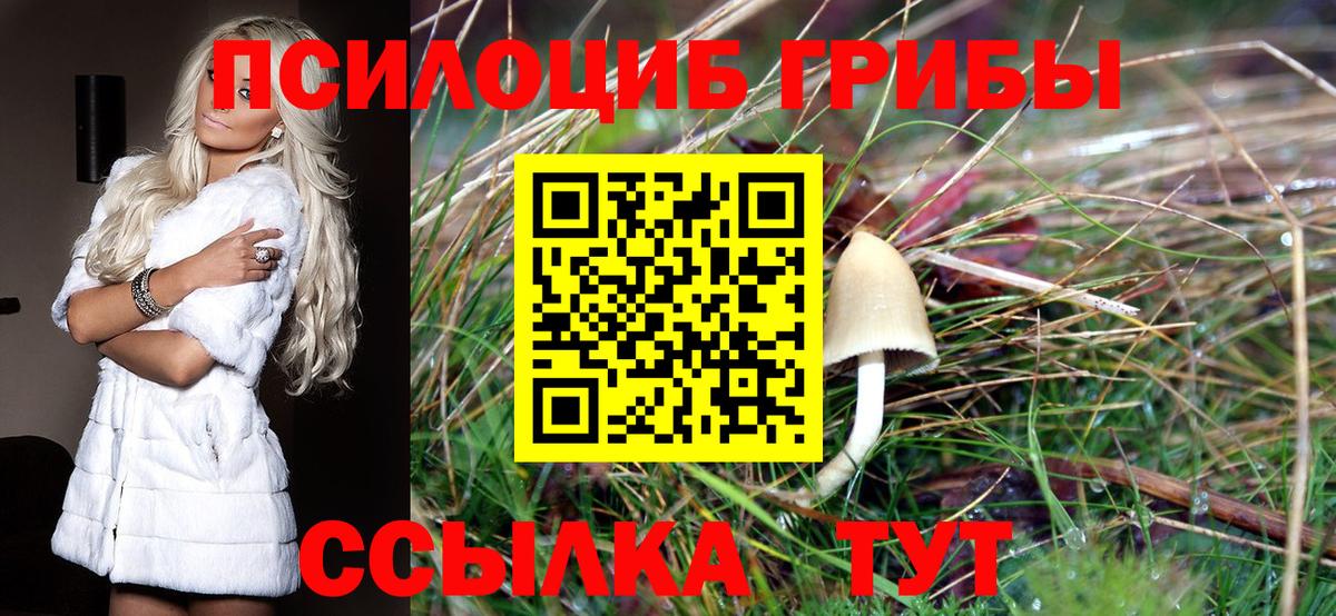 Урай  Псилоцибиновые грибы GOLDEN TEACHER  Вход с VPN 