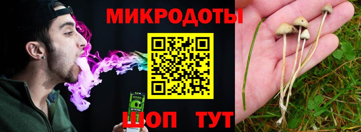 Галлюциногенные грибы Magic Shrooms Урай